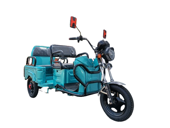 Electric Mini Passenger Trike